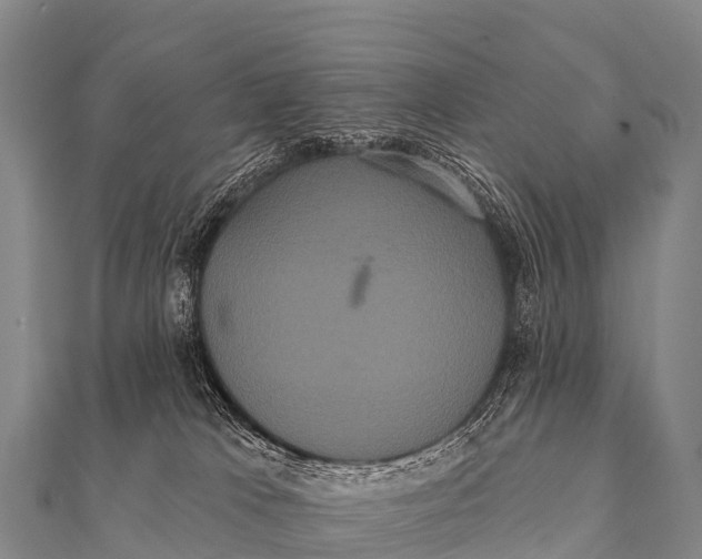 X0000112000037200908241442