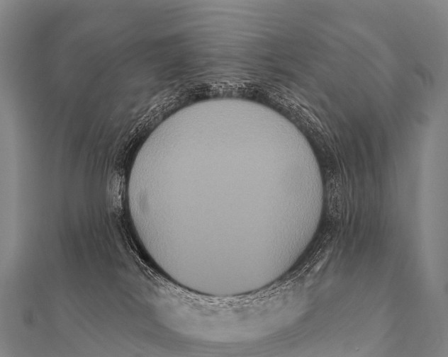 X0000112000038200908241442