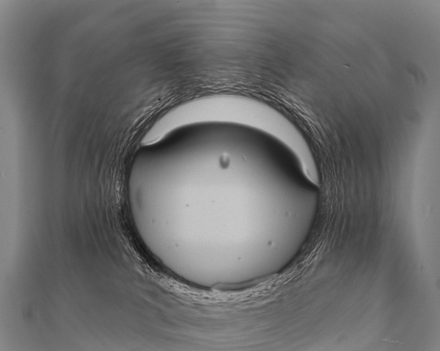 X0000112000039200908241442