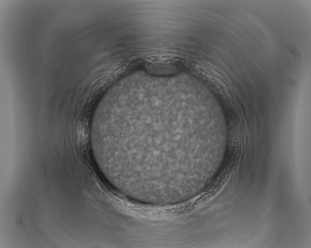 X0000112000040200908241442