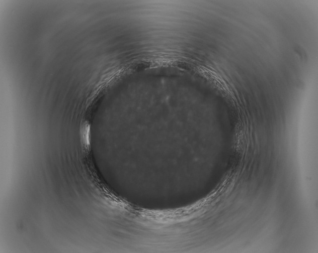 X0000112000041200908241442