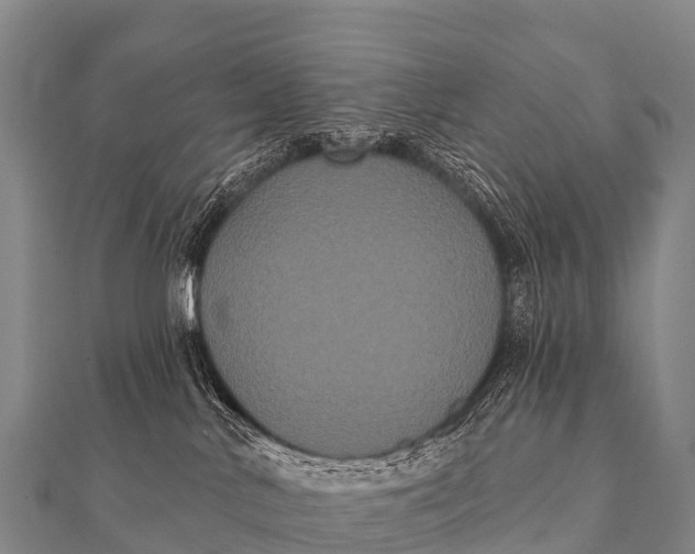 X0000112000042200908241442