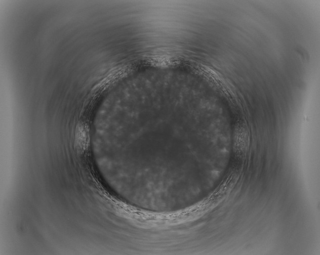 X0000112000043200908241442