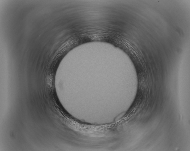 X0000112000044200908241442