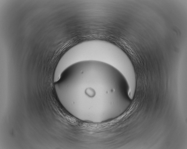 X0000112000045200908241442