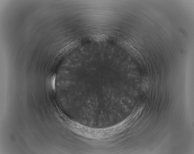 X0000112000047200908241442