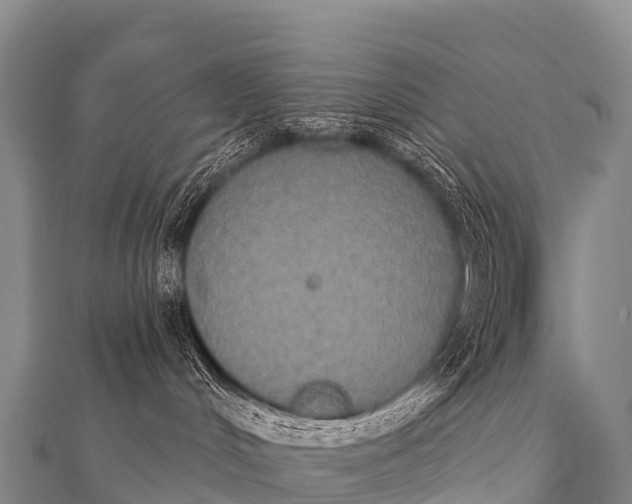 X0000112000048200908241442