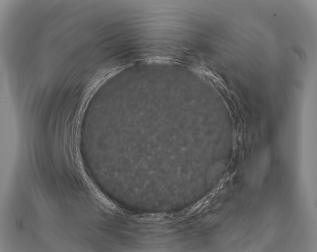 X0000112000049200908241442