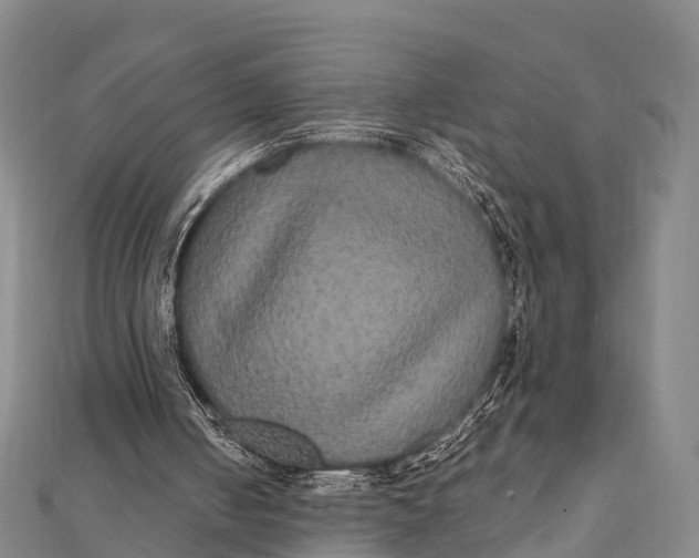 X0000112000050200908241442