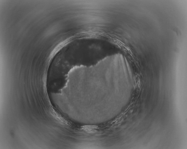 X0000112000051200908241442