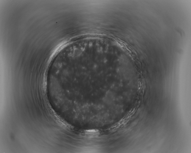 X0000112000053200908241442