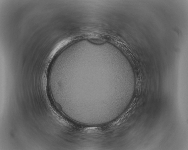 X0000112000054200908241442