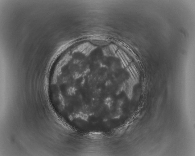 X0000112000055200908241442