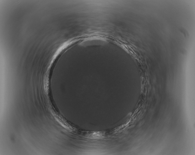 X0000112000056200908241442