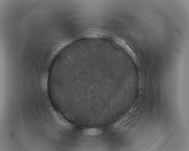 X0000112000058200908241442