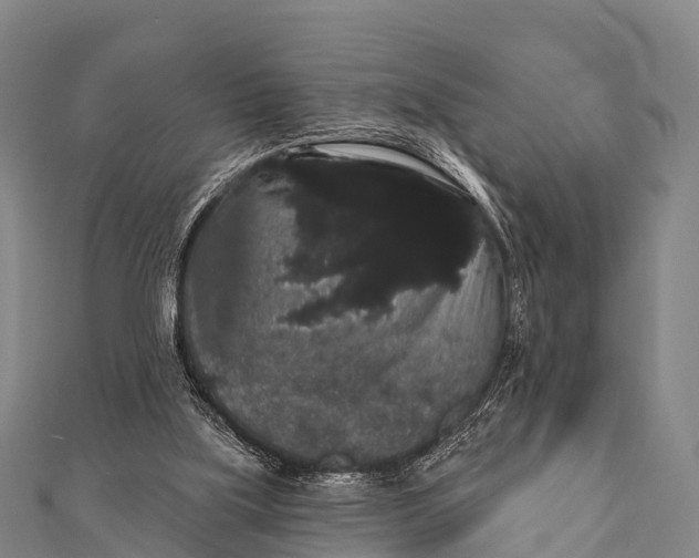 X0000112000059200908241442