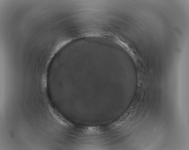 X0000112000060200908241442