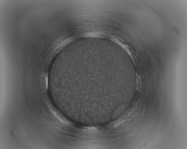 X0000112000061200908241442