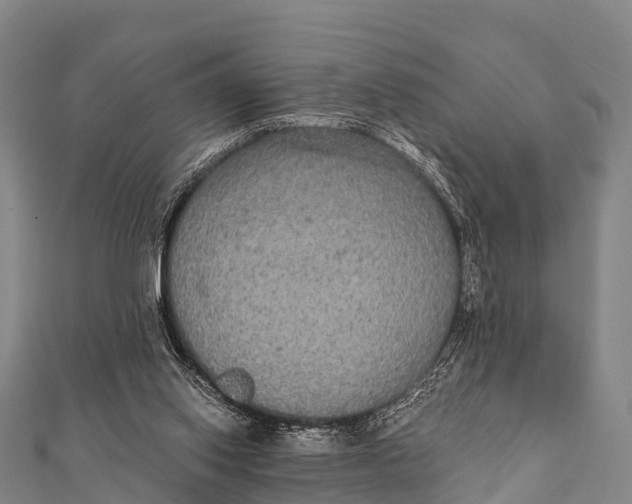 X0000112000062200908241442