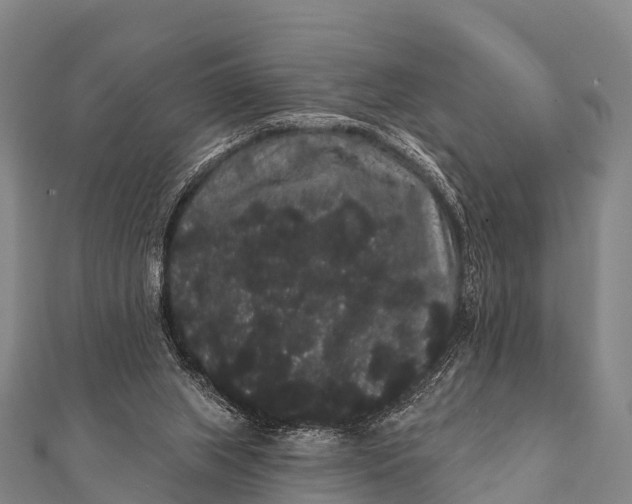 X0000112000063200908241442