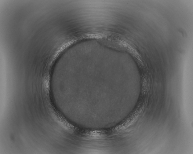 X0000112000064200908241442