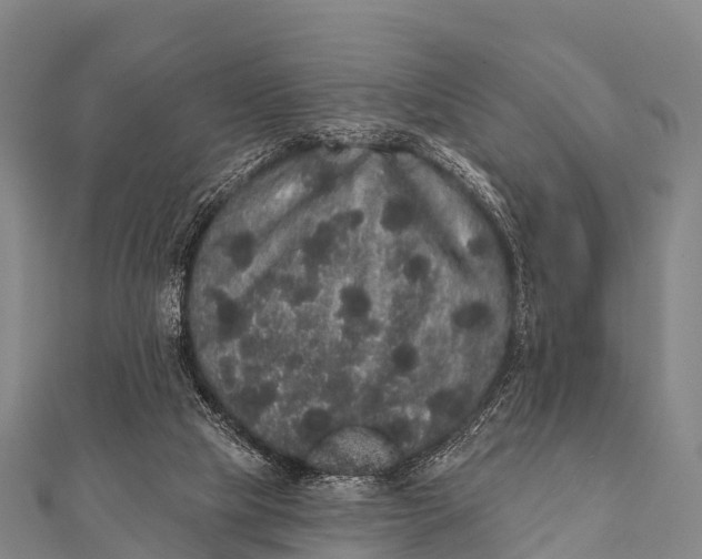 X0000112000065200908241442