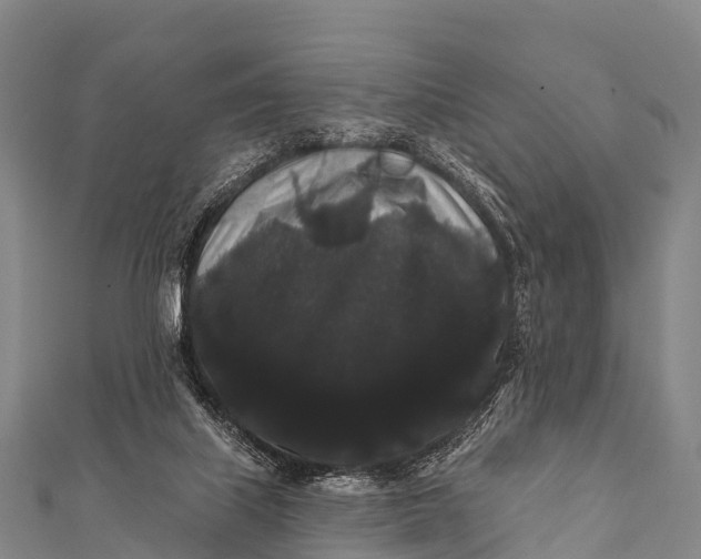 X0000112000067200908241442