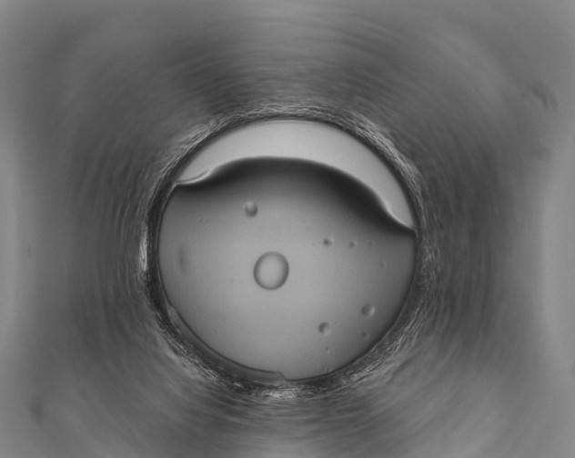 X0000112000068200908241442