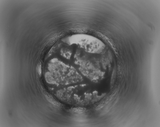 X0000112000069200908241442