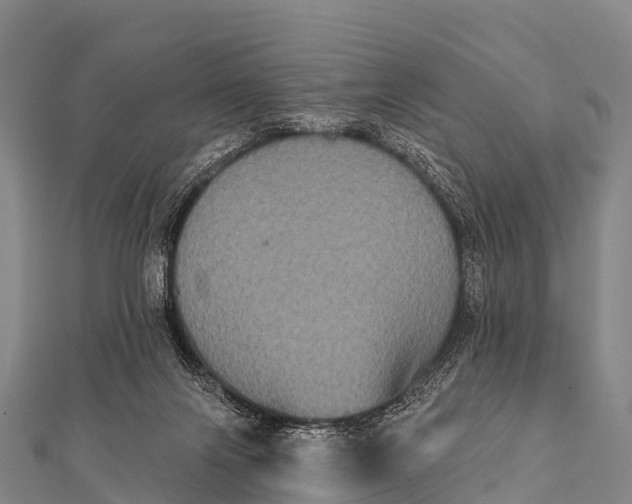 X0000112000071200908241442