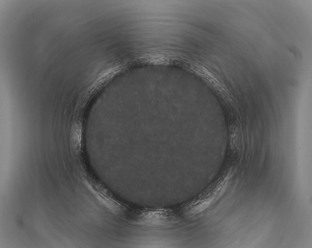 X0000112000072200908241442