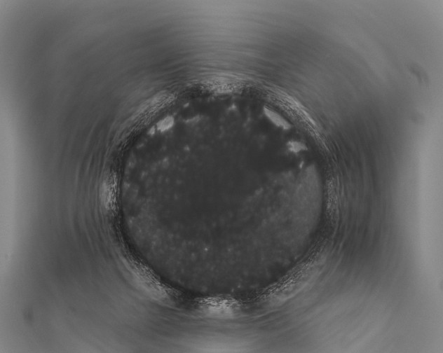 X0000112000073200908241442