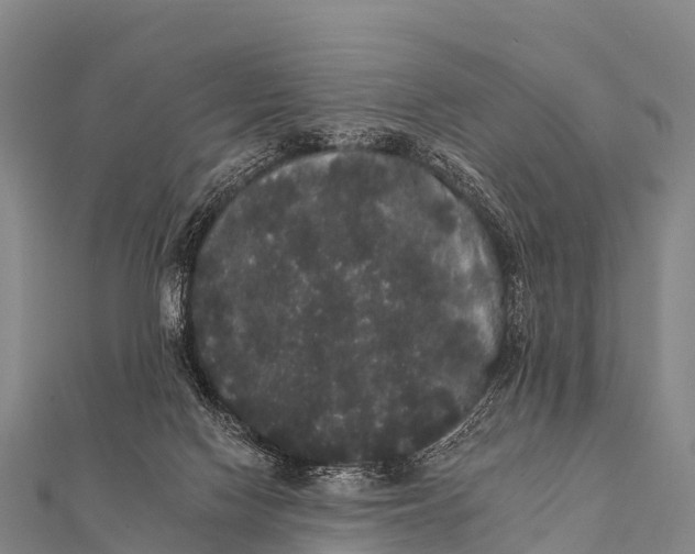 X0000112000074200908241442