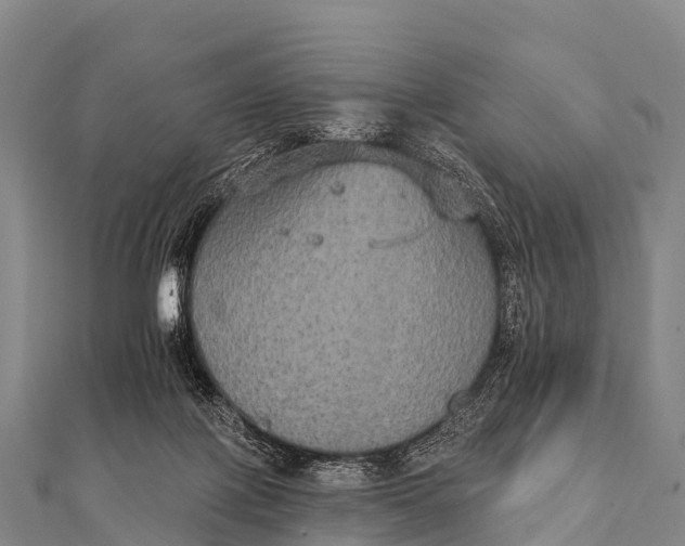 X0000112000075200908241442