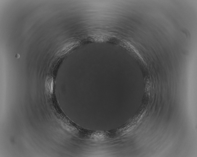 X0000112000076200908241442