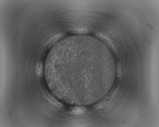 X0000112000077200908241442