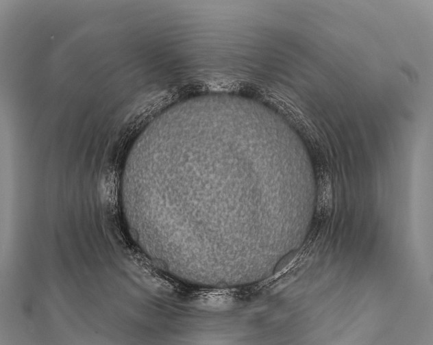 X0000112000078200908241442