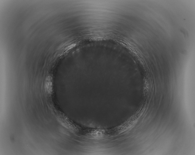 X0000112000080200908241442