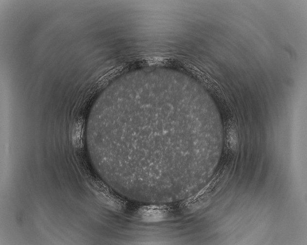 X0000112000082200908241442