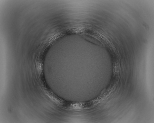 X0000112000084200908241442