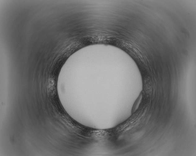 X0000112000087200908241442