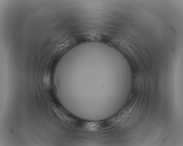 X0000112000088200908241442