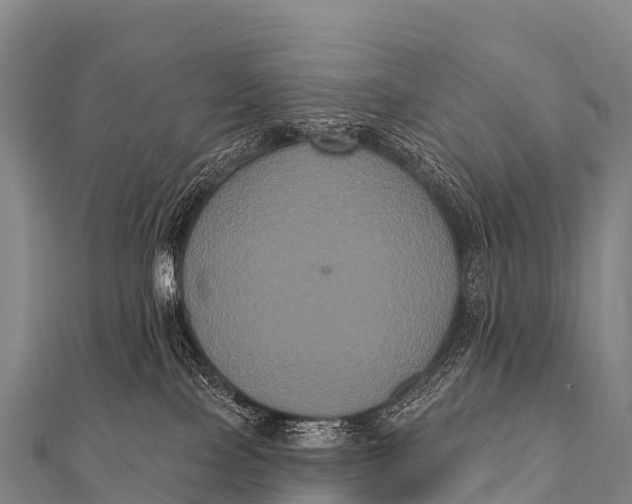 X0000112000089200908241442