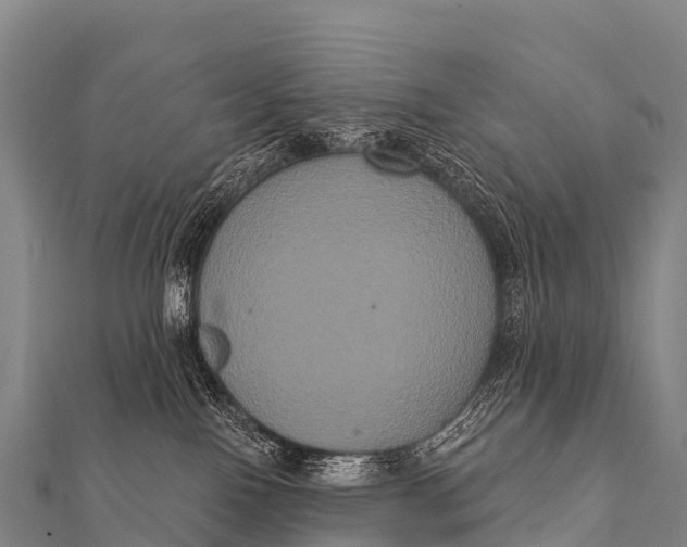 X0000112000090200908241442