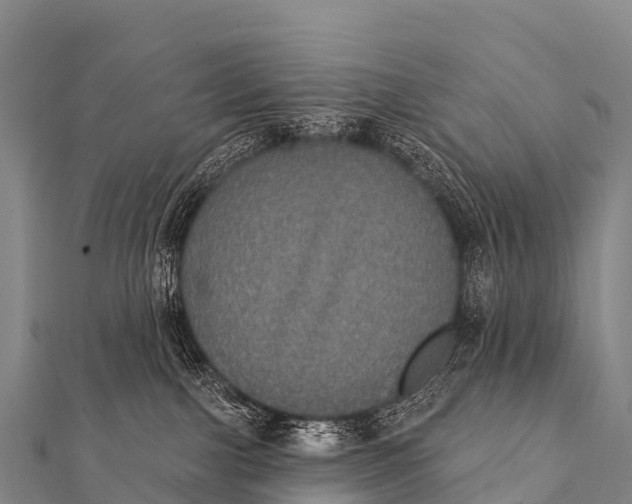 X0000112000091200908241442