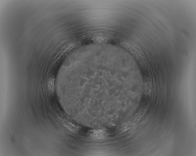 X0000112000093200908241442