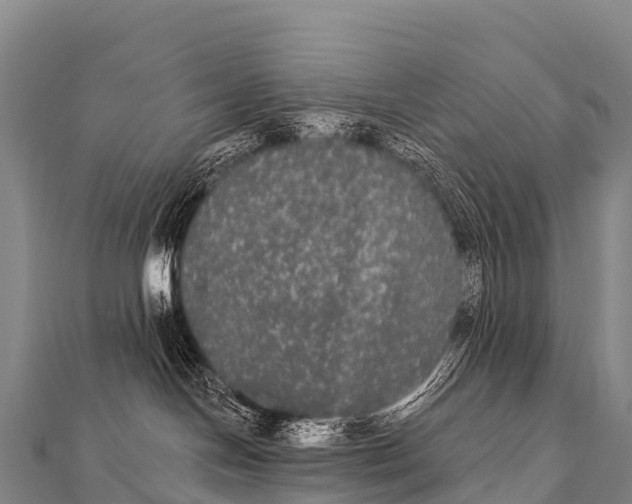 X0000112000094200908241442