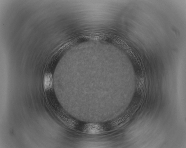 X0000112000095200908241442