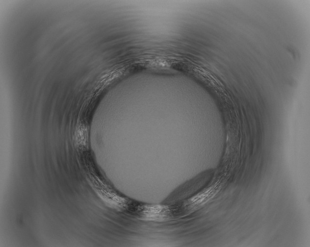 X0000112000096200908241442