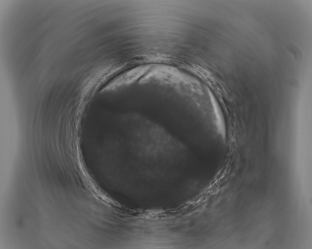 X0000112000097200908241442